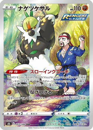 Passimian - 203/184 (Japanese)  203/184 - [S8b VMAX Climax]