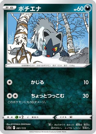Poochyena - 081/172 (Japanese)  081/172 - [S12a VSTAR Universe]
