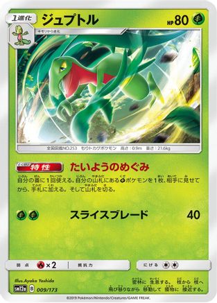 Grovyle (Japanese)  009/173 - [SM12a TAG TEAM GX Tag All Stars]