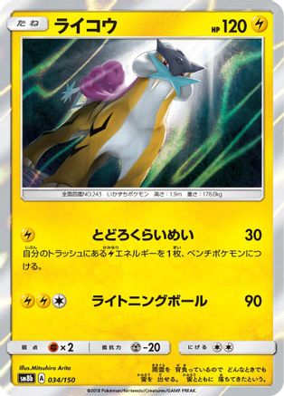 Raikou (Japanese)  034/150 - [SM8b GX Ultra Shiny]