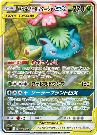 Venusaur & Snivy GX - 066/064 (Japanese)  066/064 - [SM11a Remix Bout]