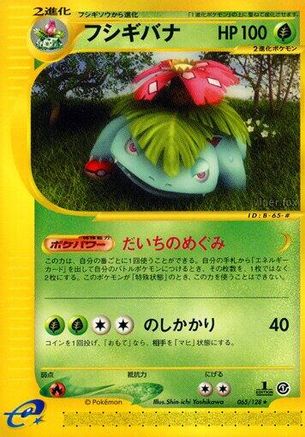 Venusaur - 065/128 (Japanese)  065/128 - [Base Expansion Pack]