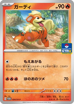 Growlithe - 024/SV-P (Japanese)  024/SV-P - [SVP Promotional Cards]