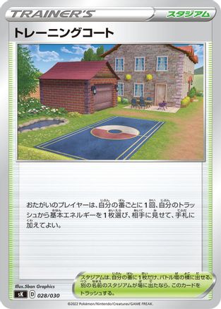 Training Court (Japanese)  028/030 - [sK VSTAR Premium Trainer Box]