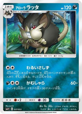 Alolan Raticate (Japanese)  037/051 - [sm1 Enhanced Expansion Pack Sun  Moon]