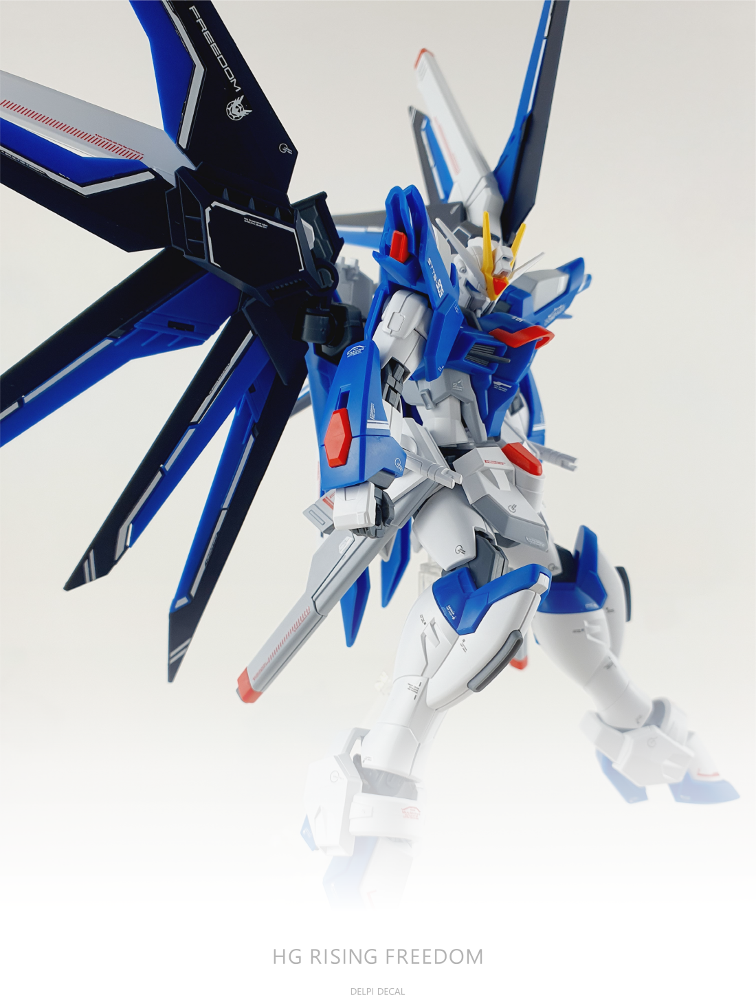 Delpi Decals HG RISING FREEDOM WATER DECAL - Trinity Hobby