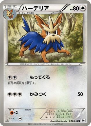 Herdier (Japanese)  043/053 - [BW1 White Collection]
