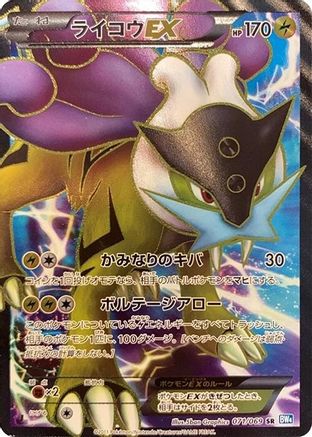 Raikou EX - 071/069 (Japanese)  071/069 - [BW4 Dark Rush]
