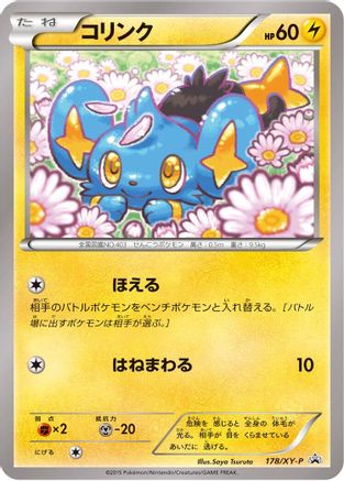 Shinx - 178/XY-P (Japanese)  178/XY-P - [XYP XY Promos]