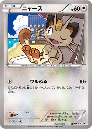 Meowth - 250/XY-P (Japanese)  250/XY-P - [XYP XY Promos]