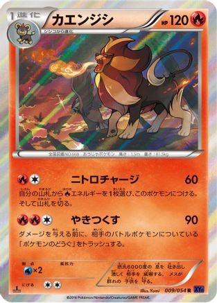 Pyroar (Japanese)  009/054 - [XY11Bb FeverBurst Fighter]