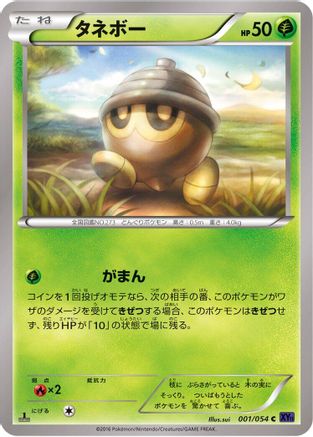 Seedot (Japanese)  001/054 - [XY11Bb FeverBurst Fighter]