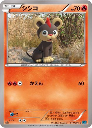 Litleo (Japanese)  014/080 - [XY2 Wild Blaze]