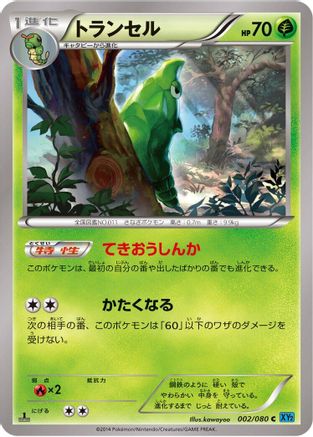 Metapod (Japanese)  002/080 - [XY2 Wild Blaze]