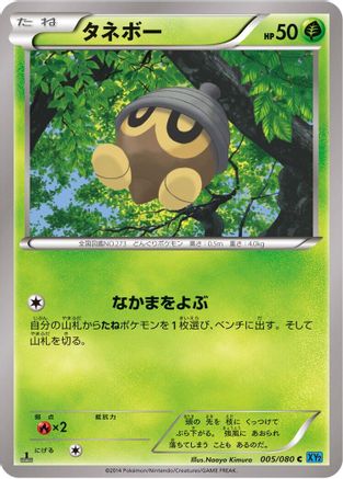 Seedot (Japanese)  005/080 - [XY2 Wild Blaze]