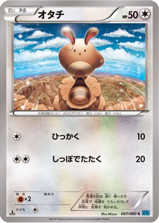 Sentret (Japanese)  067/080 - [XY2 Wild Blaze]