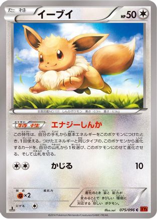 Eevee (Japanese)  075/096 - [XY3 Rising Fist]