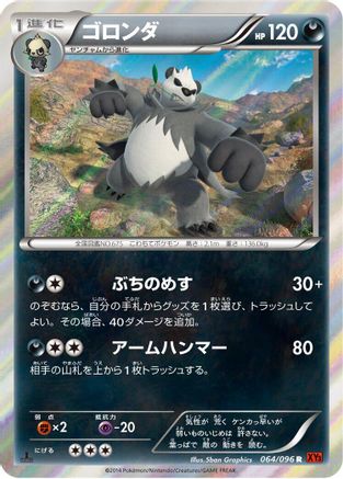 Pangoro (Japanese)  064/096 - [XY3 Rising Fist]