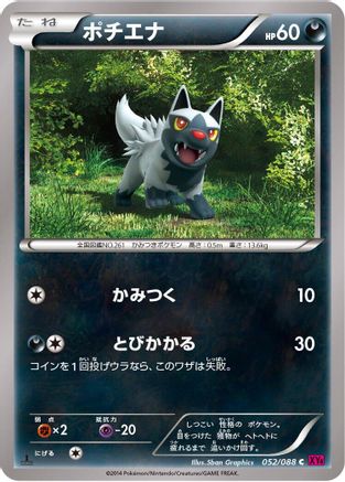 Poochyena (Japanese)  052/088 - [XY4 Phantom Gate]
