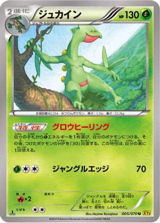 Sceptile - 005/070 (Japanese)  005/070 - [XY5Bg Gaia Volcano]