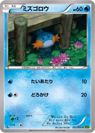 Mudkip (Japanese)  012/070 - [XY5Bt Tidal Storm]