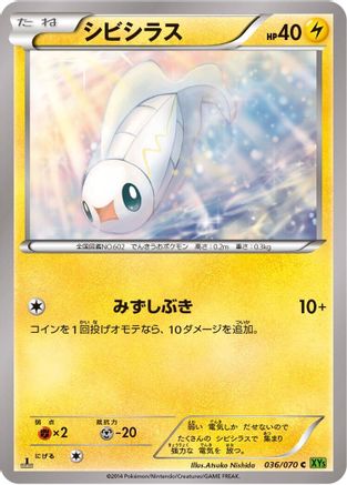 Tynamo (Japanese)  036/070 - [XY5Bt Tidal Storm]