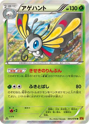 Beautifly (Japanese)  005/078 - [XY6 Emerald Break]