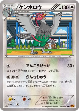 Unfezant - 066/078 (Japanese)  066/078 - [XY6 Emerald Break]