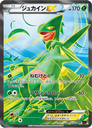 Sceptile EX - 082/081 (Japanese)  082/081 - [XY7 Bandit Ring]