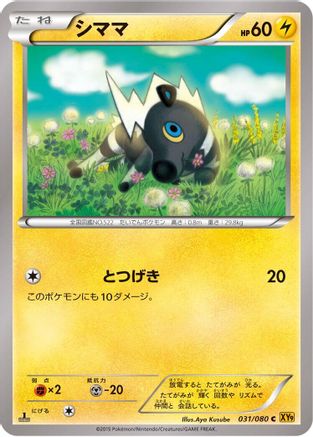 Blitzle (Japanese)  031/080 - [XY9 Rage of the Broken Heavens]