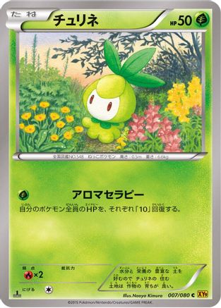 Petilil (Japanese)  007/080 - [XY9 Rage of the Broken Heavens]