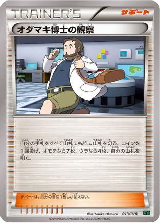 Professor Birch's Observations (Japanese)  013/018 - [XYD M RayquazaEX Mega Battle Deck]