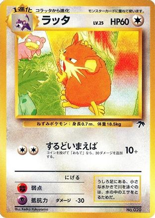 Raticate (Japanese)  null - [Southern Island]