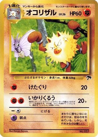 Primeape (Japanese)  null - [Southern Island]