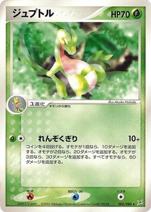 Grovyle (Japanese)  005/080 - [Magma VS Aqua Two Ambitions]