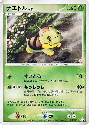Turtwig - 117/DP-P (Japanese)  117/DP-P - [DPP Promotional cards]