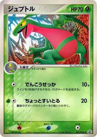 Grovyle - 081/PCG-P (Japanese)  081/PCG-P - [PCGP Promotional cards]
