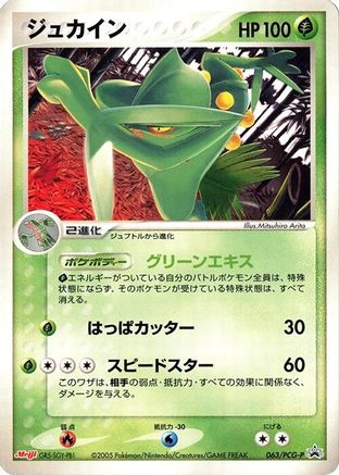 Sceptile - 063/PCG-P (Japanese)  063/PCG-P - [PCGP Promotional cards]