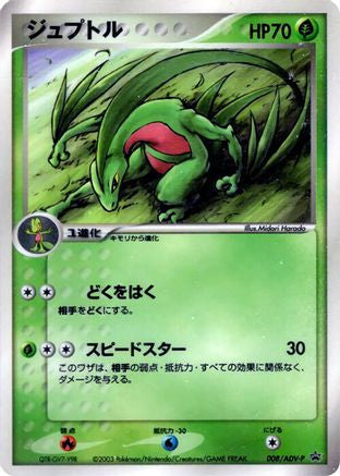 Grovyle - 008/ADV-P (Japanese)  008/ADV-P - [ADVP Promotional cards]