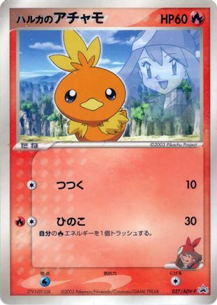 May's Torchic - 037/ADV-P (Japanese)  037/ADV-P - [ADVP Promotional cards]