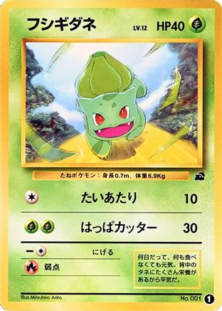 Bulbasaur - 1 (Japanese)  1 - [Intro Pack Bulbasaur]