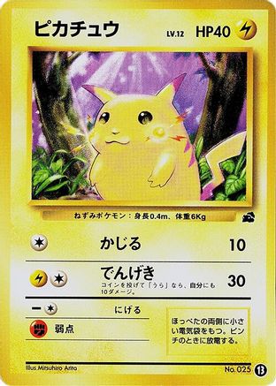 Pikachu - 13 (Japanese)  13 - [Intro Pack Bulbasaur]