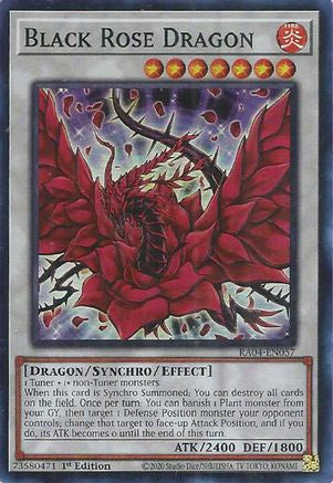 Black Rose Dragon [RA04-EN057] - Quarter Century Stampede 1st Edition - Super Rare - Trinity Hobby