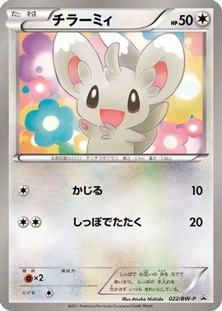 Minccino - 022/BW-P (Japanese)  022/BW-P - [BWP Promotional cards]
