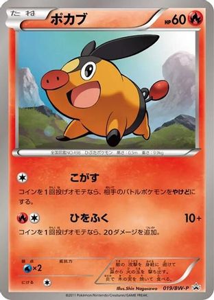 Tepig - 019/BW-P (Japanese)  019/BW-P - [BWP Promotional cards]