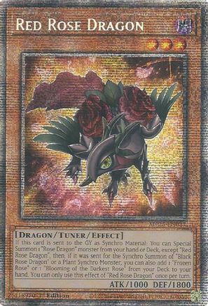 Red Rose Dragon [MP25-EN037] - 2025 Mega-Pack 1st Edition - Starlight Rare - Trinity Hobby