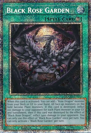 Black Rose Garden (Starlight Rare) [DOOD-EN055] - Doom of Dimensions 1st Edition - Starlight Rare - Trinity Hobby