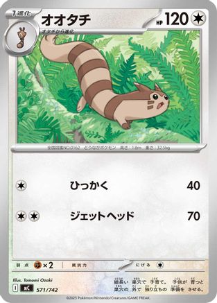 Furret (Japanese)  571/742 - [Start Deck 100 Battle Collection]
