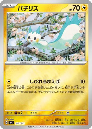 Pachirisu (Japanese)  247/742 - [Start Deck 100 Battle Collection]