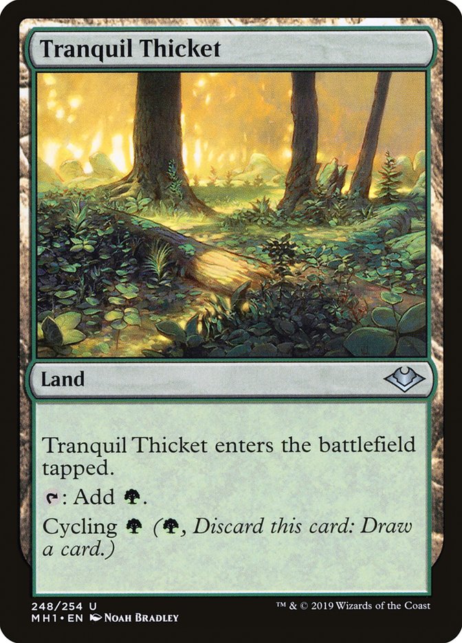 Tranquil Thicket [Modern Horizons] - Trinity Hobby